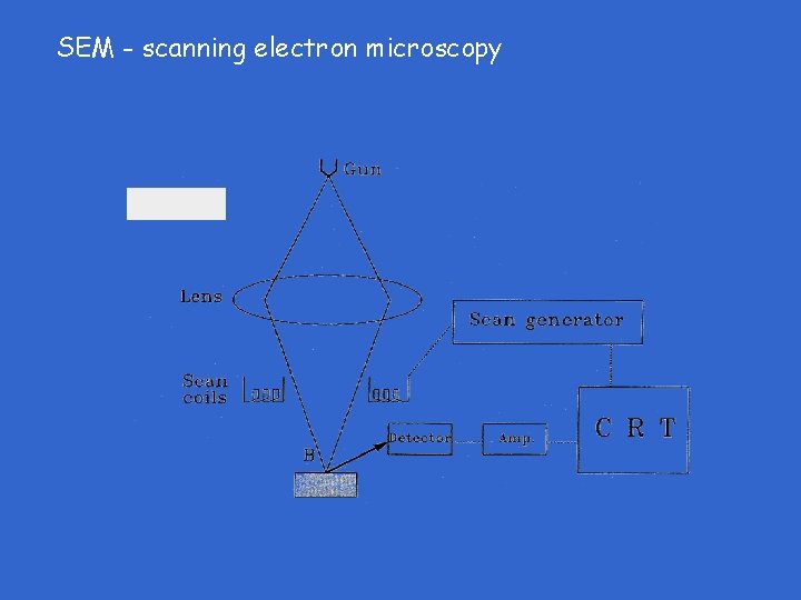 SEM - scanning electron microscopy SEM - scanning electron microscopy