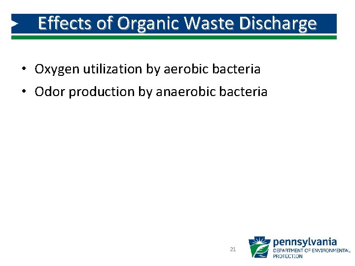 Effects of Organic Waste Discharge • Oxygen utilization by aerobic bacteria • Odor production