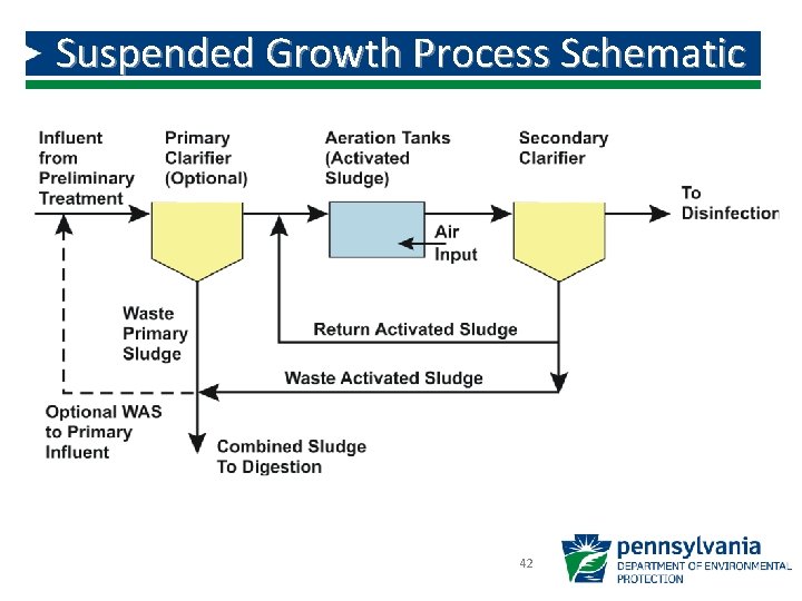 Suspended Growth Process Schematic 42 