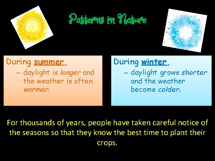 Patterns in Nature During summer , – daylight is longer and the weather is