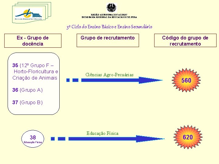 REGIÃO AUTÓNOMA DOS AÇORES SECRETARIA REGIONAL DA EDUCAÇÃO E CULTURA 3º Ciclo do Ensino