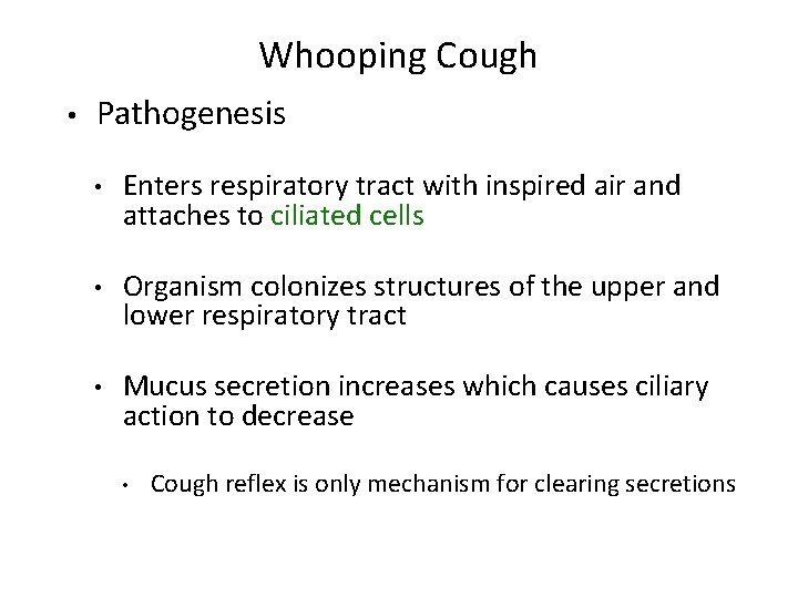 Whooping Cough • Pathogenesis • Enters respiratory tract with inspired air and attaches to