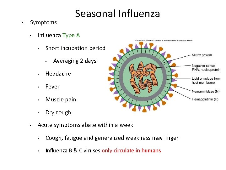  • Symptoms • Influenza Type A • Short incubation period • • Seasonal