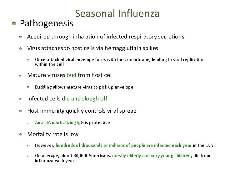 Pathogenesis Seasonal Influenza Acquired through inhalation of infected respiratory secretions Virus attaches to host