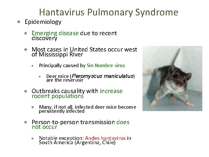 Hantavirus Pulmonary Syndrome Epidemiology Emerging disease due to recent discovery Most cases in United