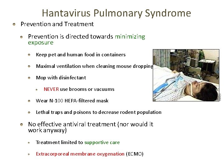 Hantavirus Pulmonary Syndrome Prevention and Treatment Prevention is directed towards minimizing exposure Keep pet