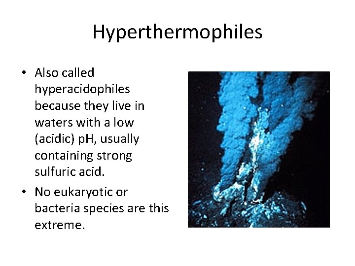 Hyperthermophiles • Also called hyperacidophiles because they live in waters with a low (acidic)