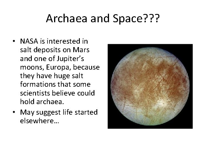 Archaea and Space? ? ? • NASA is interested in salt deposits on Mars