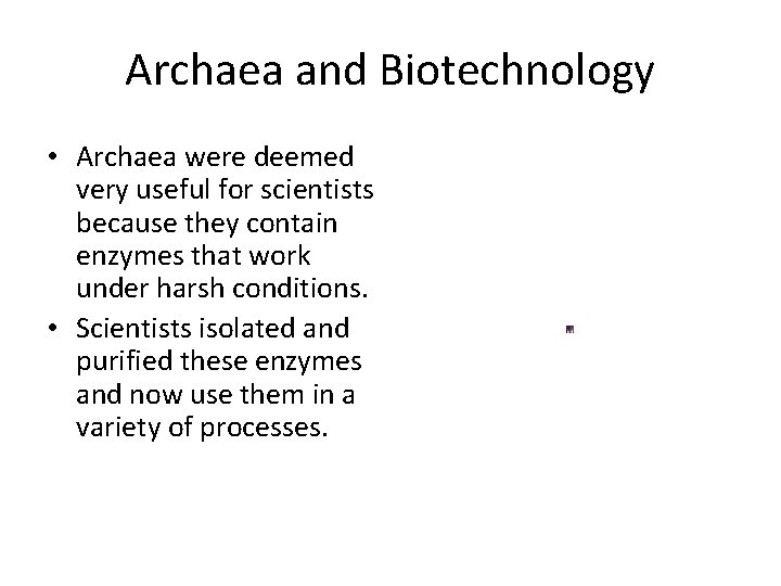 Archaea and Biotechnology • Archaea were deemed very useful for scientists because they contain