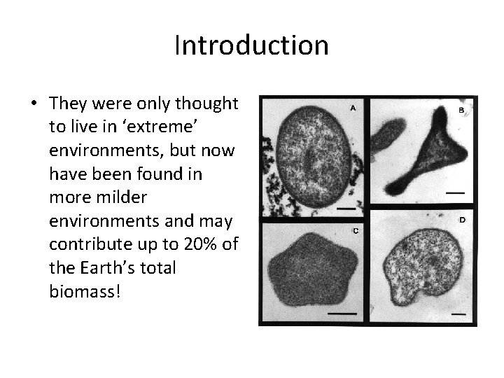 Introduction • They were only thought to live in ‘extreme’ environments, but now have