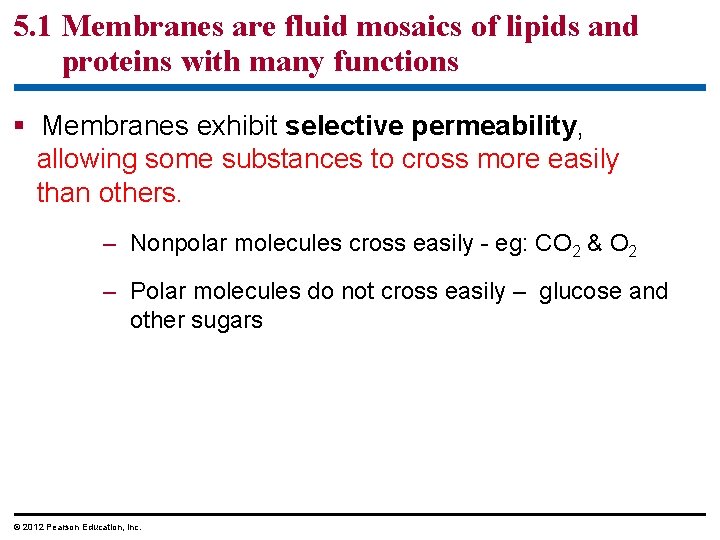 5. 1 Membranes are fluid mosaics of lipids and proteins with many functions §