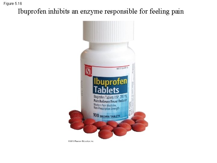 Figure 5. 16 Ibuprofen inhibits an enzyme responsible for feeling pain 