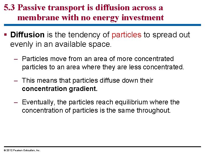 5. 3 Passive transport is diffusion across a membrane with no energy investment §