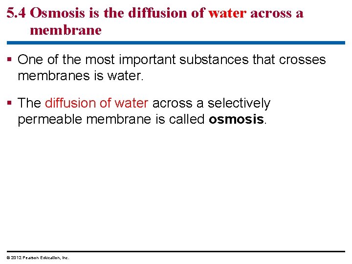 5. 4 Osmosis is the diffusion of water across a membrane § One of