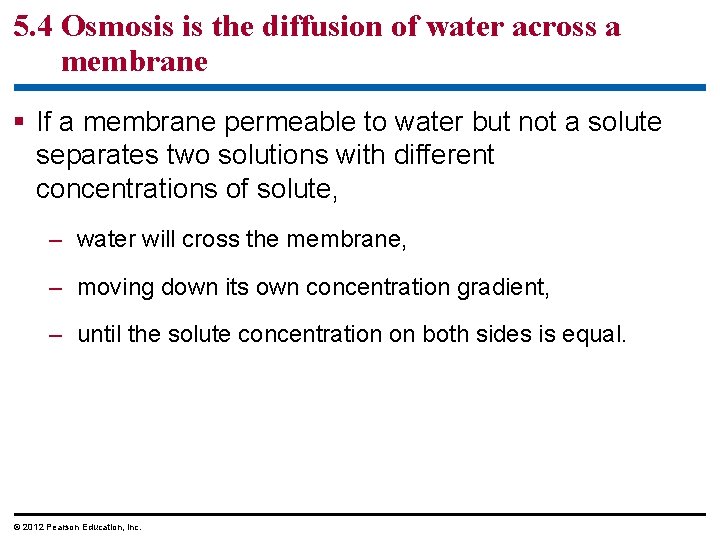 5. 4 Osmosis is the diffusion of water across a membrane § If a