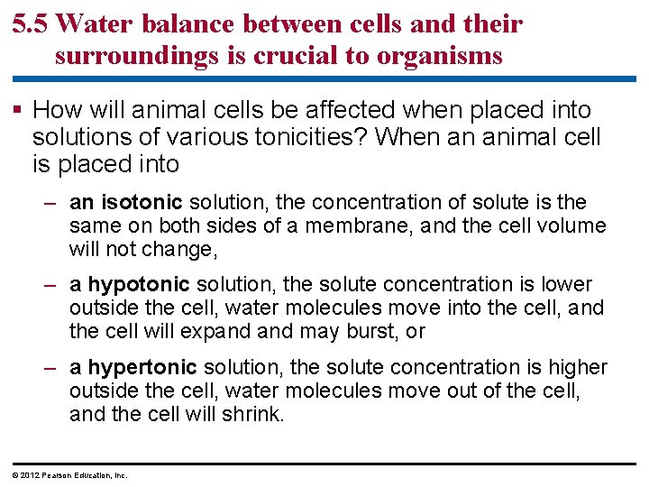 5. 5 Water balance between cells and their surroundings is crucial to organisms §