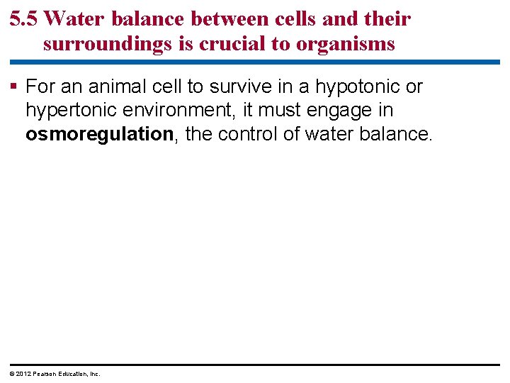 5. 5 Water balance between cells and their surroundings is crucial to organisms §