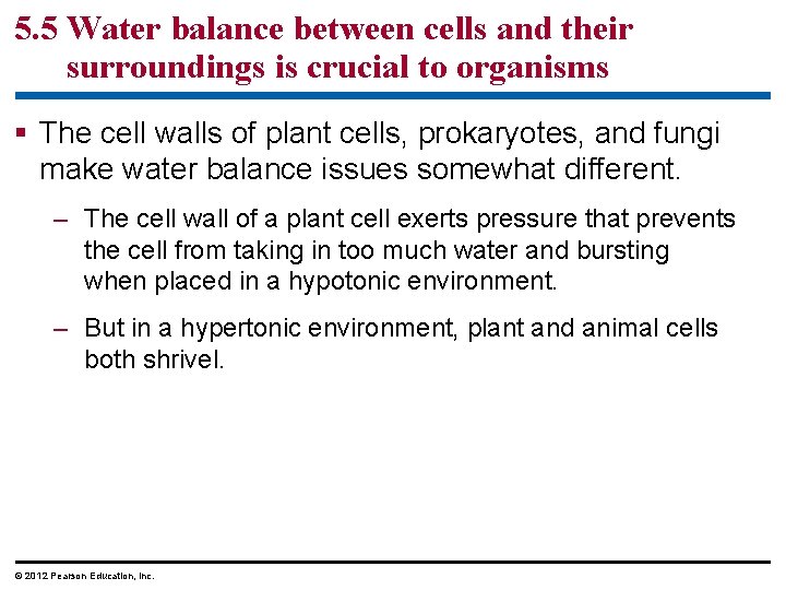 5. 5 Water balance between cells and their surroundings is crucial to organisms §