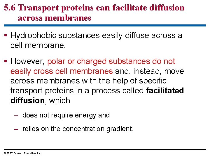 5. 6 Transport proteins can facilitate diffusion across membranes § Hydrophobic substances easily diffuse