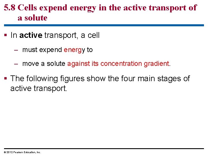 5. 8 Cells expend energy in the active transport of a solute § In