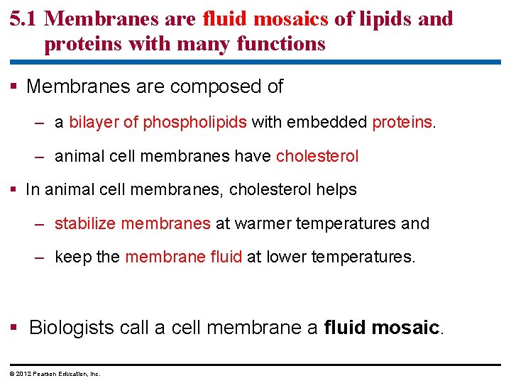 5. 1 Membranes are fluid mosaics of lipids and proteins with many functions §