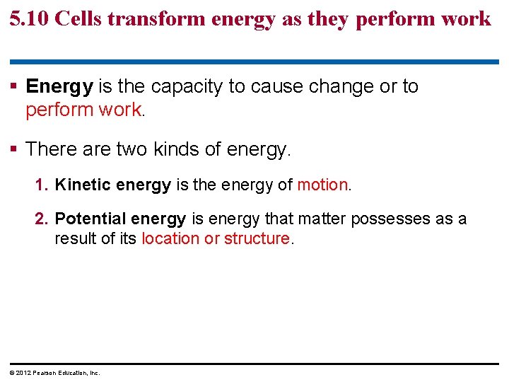 5. 10 Cells transform energy as they perform work § Energy is the capacity