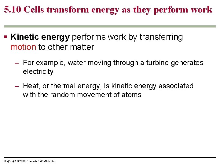 5. 10 Cells transform energy as they perform work § Kinetic energy performs work