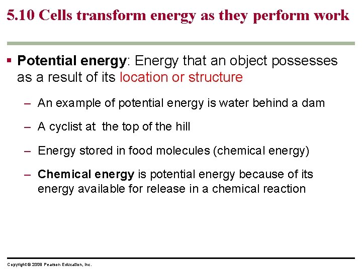 5. 10 Cells transform energy as they perform work § Potential energy: Energy that