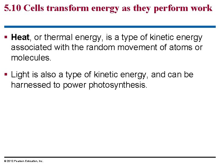 5. 10 Cells transform energy as they perform work § Heat, or thermal energy,