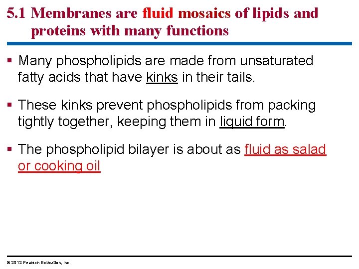 5. 1 Membranes are fluid mosaics of lipids and proteins with many functions §