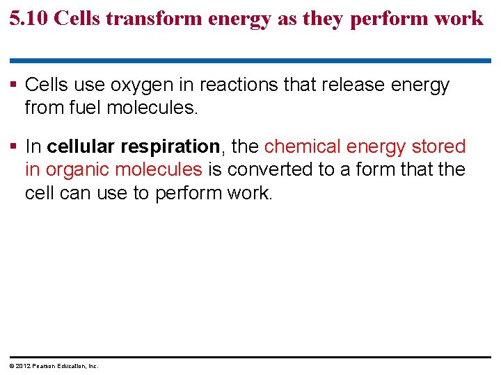 5. 10 Cells transform energy as they perform work § Cells use oxygen in