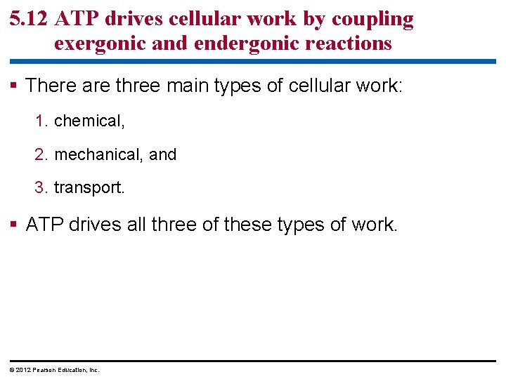 5. 12 ATP drives cellular work by coupling exergonic and endergonic reactions § There