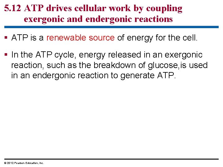 5. 12 ATP drives cellular work by coupling exergonic and endergonic reactions § ATP