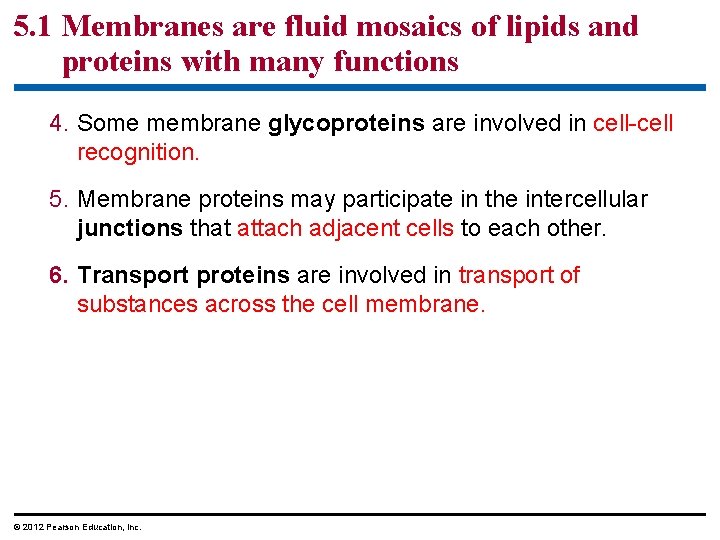5. 1 Membranes are fluid mosaics of lipids and proteins with many functions 4.