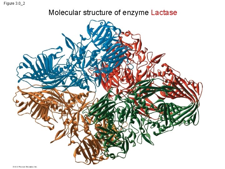 Figure 3. 0_2 Molecular structure of enzyme Lactase 