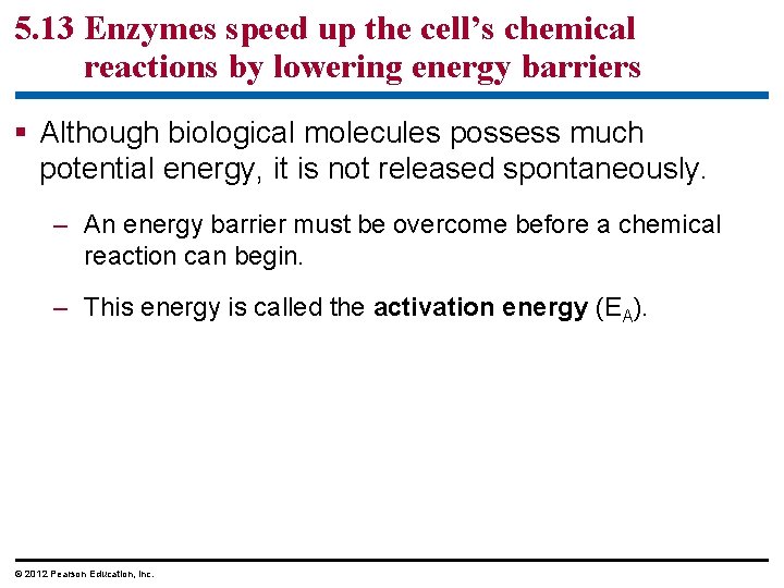 5. 13 Enzymes speed up the cell’s chemical reactions by lowering energy barriers §