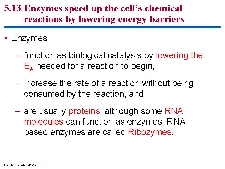 5. 13 Enzymes speed up the cell’s chemical reactions by lowering energy barriers §