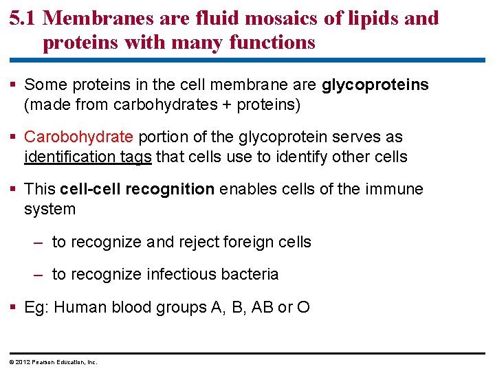 5. 1 Membranes are fluid mosaics of lipids and proteins with many functions §