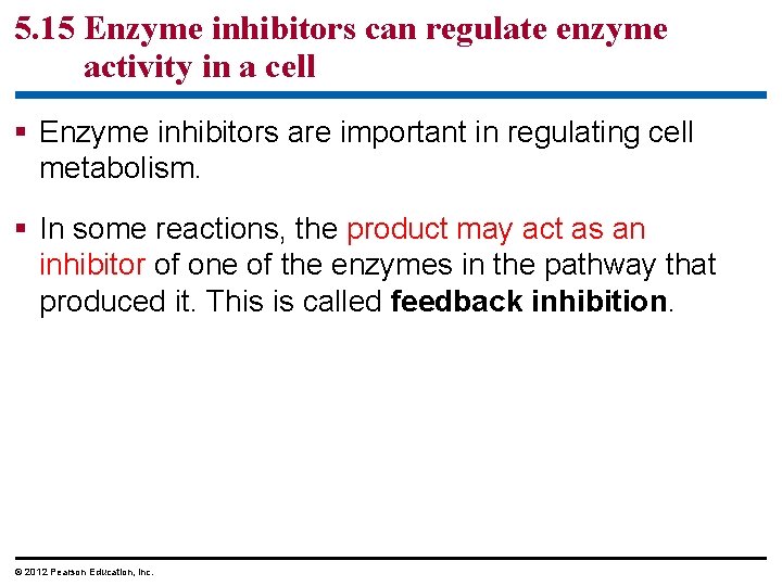 5. 15 Enzyme inhibitors can regulate enzyme activity in a cell § Enzyme inhibitors