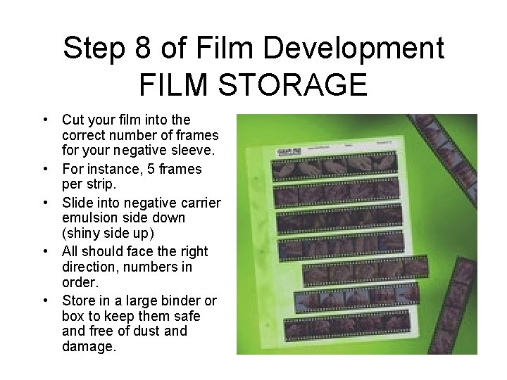 Step 8 of Film Development FILM STORAGE • Cut your film into the correct Step 8 of Film Development FILM STORAGE • Cut your film into the correct