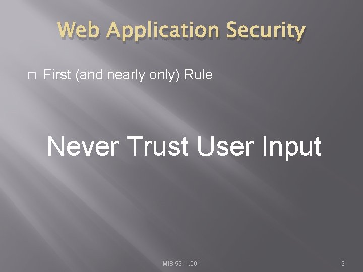 Web Application Security � First (and nearly only) Rule Never Trust User Input MIS