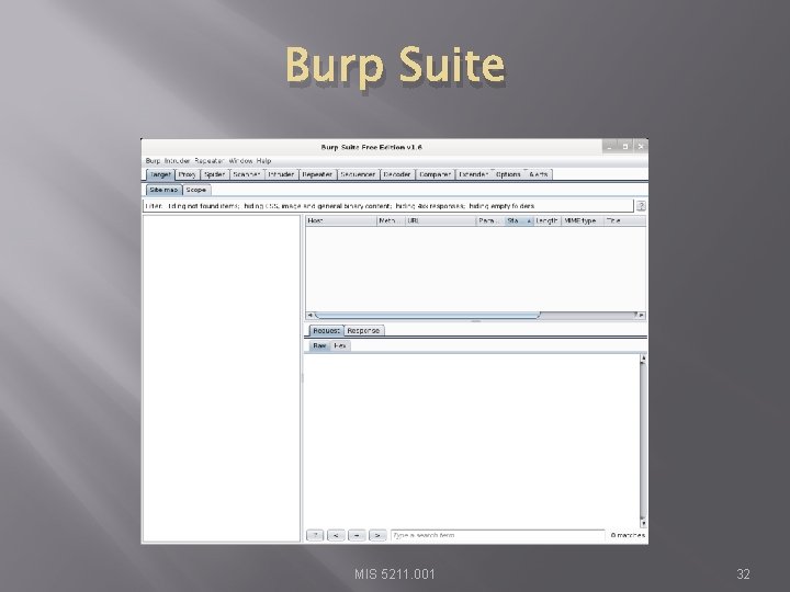 Burp Suite MIS 5211. 001 32 