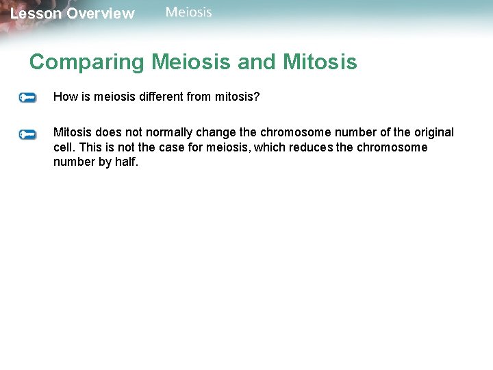 Lesson Overview Meiosis Comparing Meiosis and Mitosis How is meiosis different from mitosis? Mitosis