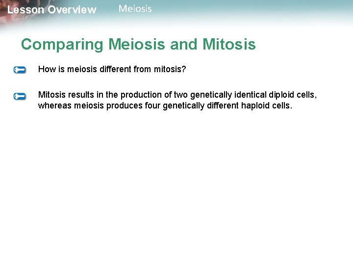 Lesson Overview Meiosis Comparing Meiosis and Mitosis How is meiosis different from mitosis? Mitosis