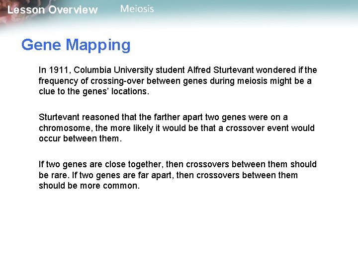 Lesson Overview Meiosis Gene Mapping In 1911, Columbia University student Alfred Sturtevant wondered if