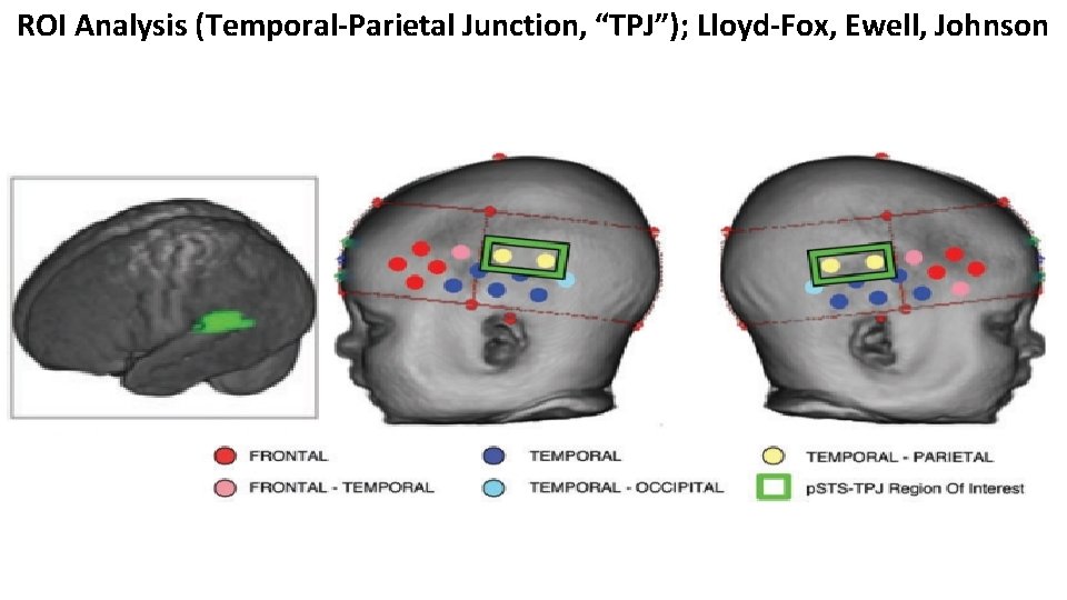 ROI Analysis (Temporal-Parietal Junction, “TPJ”); Lloyd-Fox, Ewell, Johnson ROI Analysis (Temporal-Parietal Junction, “TPJ”); Lloyd-Fox, Ewell, Johnson