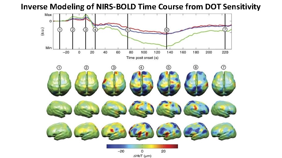 Inverse Modeling of NIRS-BOLD Time Course from DOT Sensitivity Inverse Modeling of NIRS-BOLD Time Course from DOT Sensitivity