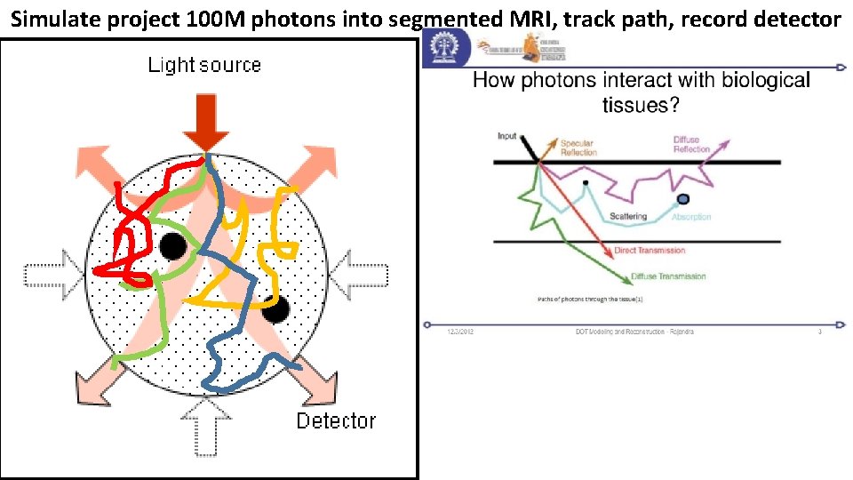 Simulate project 100 M photons into segmented MRI, track path, record detector Simulate project 100 M photons into segmented MRI, track path, record detector