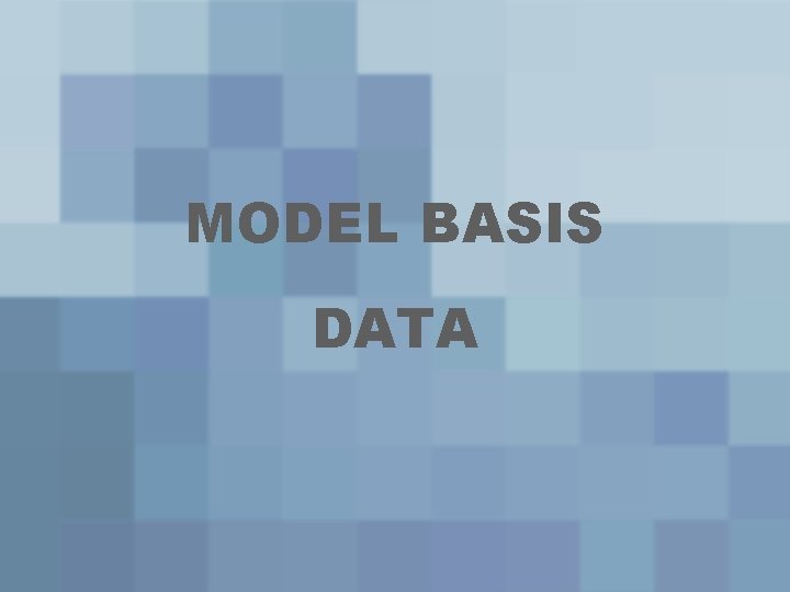 MODEL BASIS DATA 