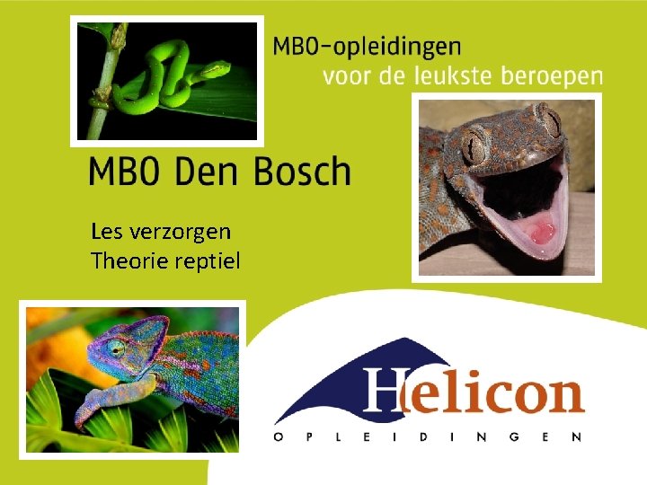 Les verzorgen Theorie reptiel 